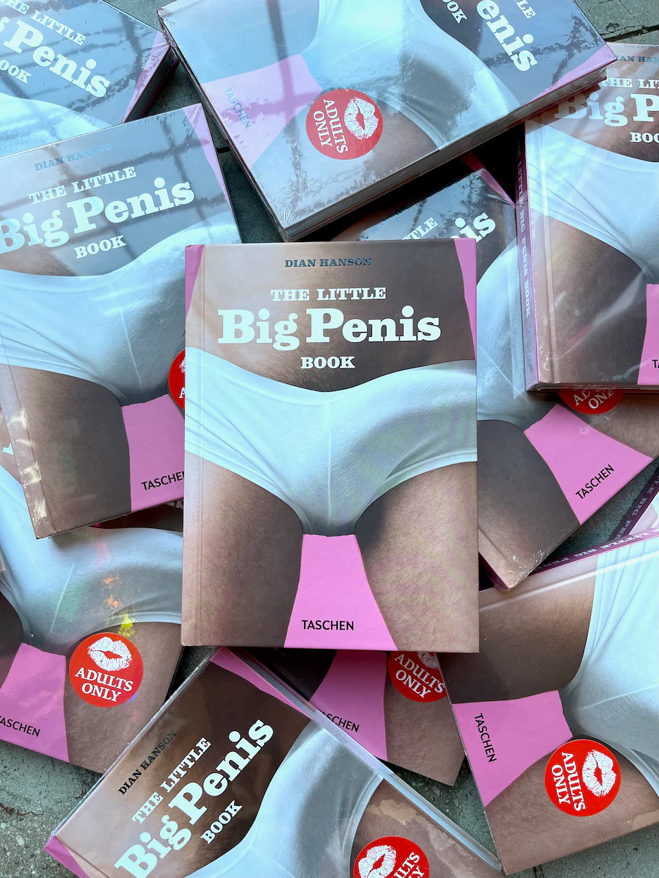 The Little Big Penis Book - Image 19