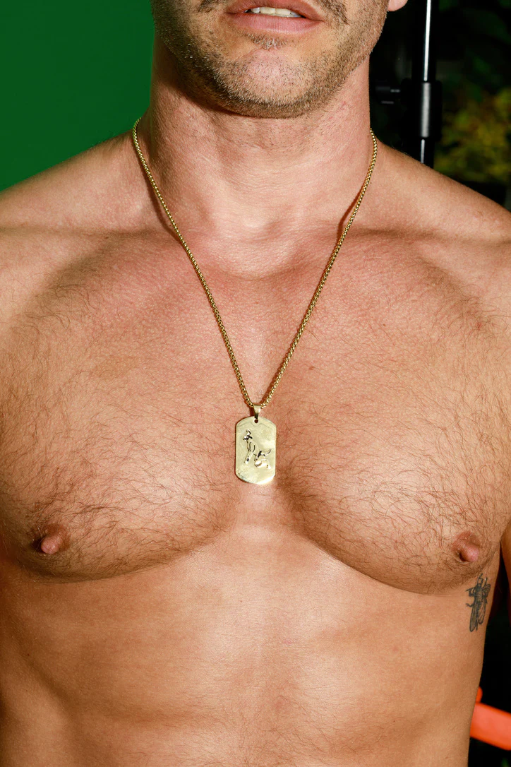 Master of the House Dog Tag Puppy - Shiny Gold - Image 3