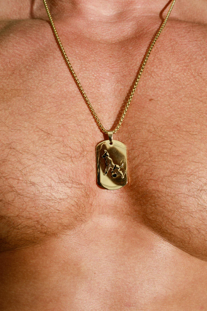 Master of the House Dog Tag Puppy - Shiny Gold - Image 4