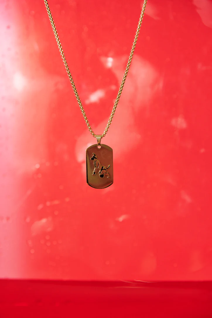 Master of the House Dog Tag Puppy - Shiny Gold - Image 6