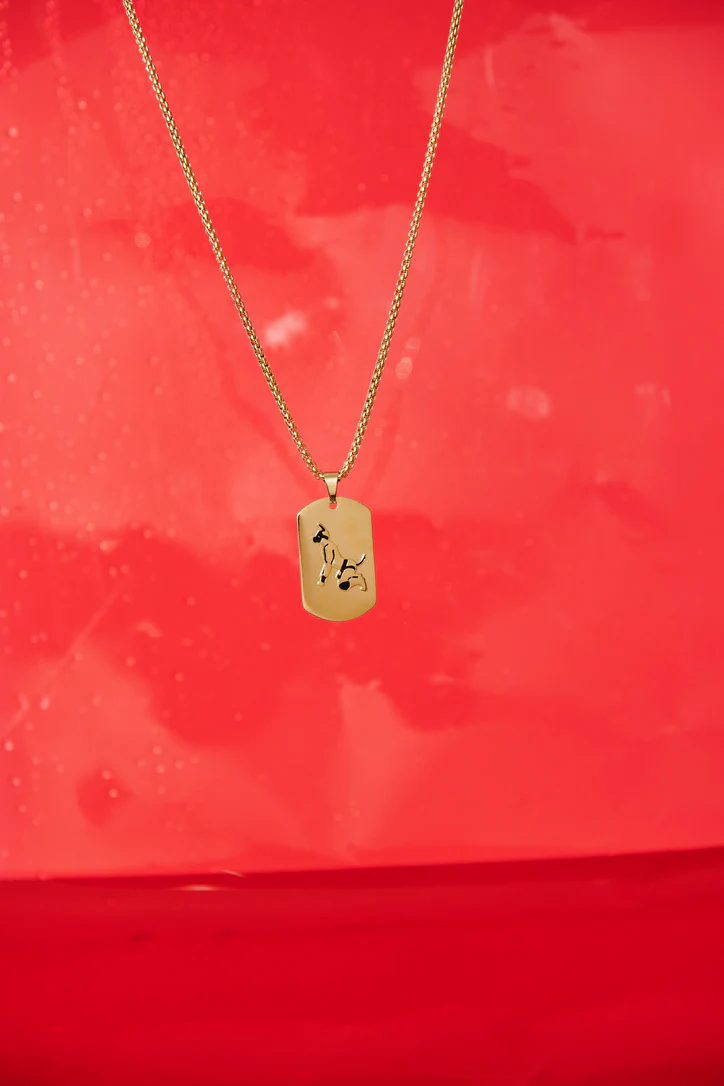 Master of the House Dog Tag Puppy - Shiny Gold - Image 7