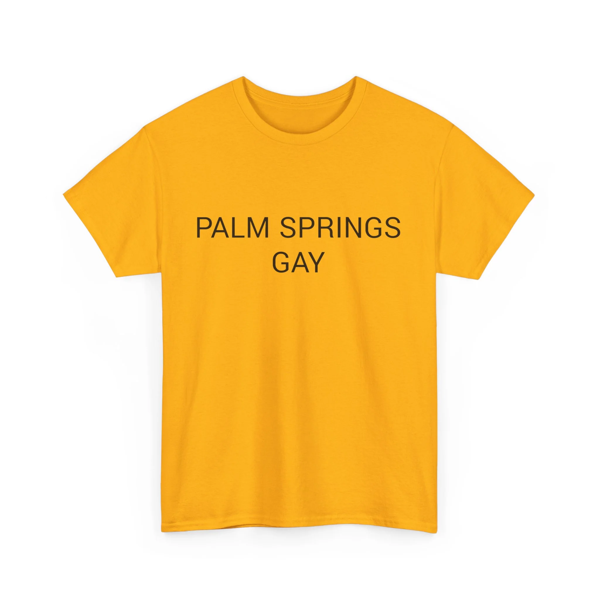 PALM SPRINGS GAY TEE BY CULTUREEDIT AVAILABLE IN 13 COLORS - Image 195