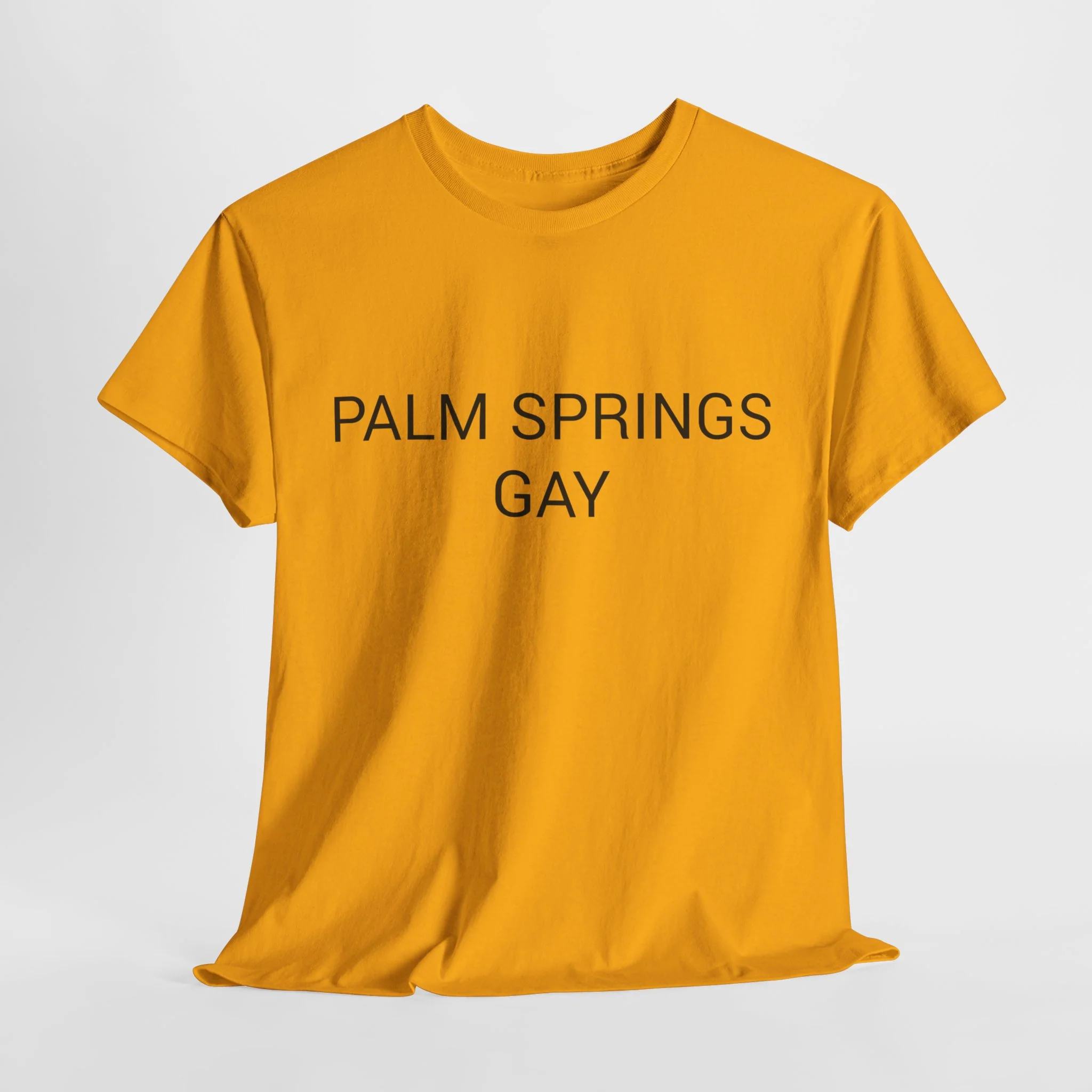 PALM SPRINGS GAY TEE BY CULTUREEDIT AVAILABLE IN 13 COLORS - Image 198