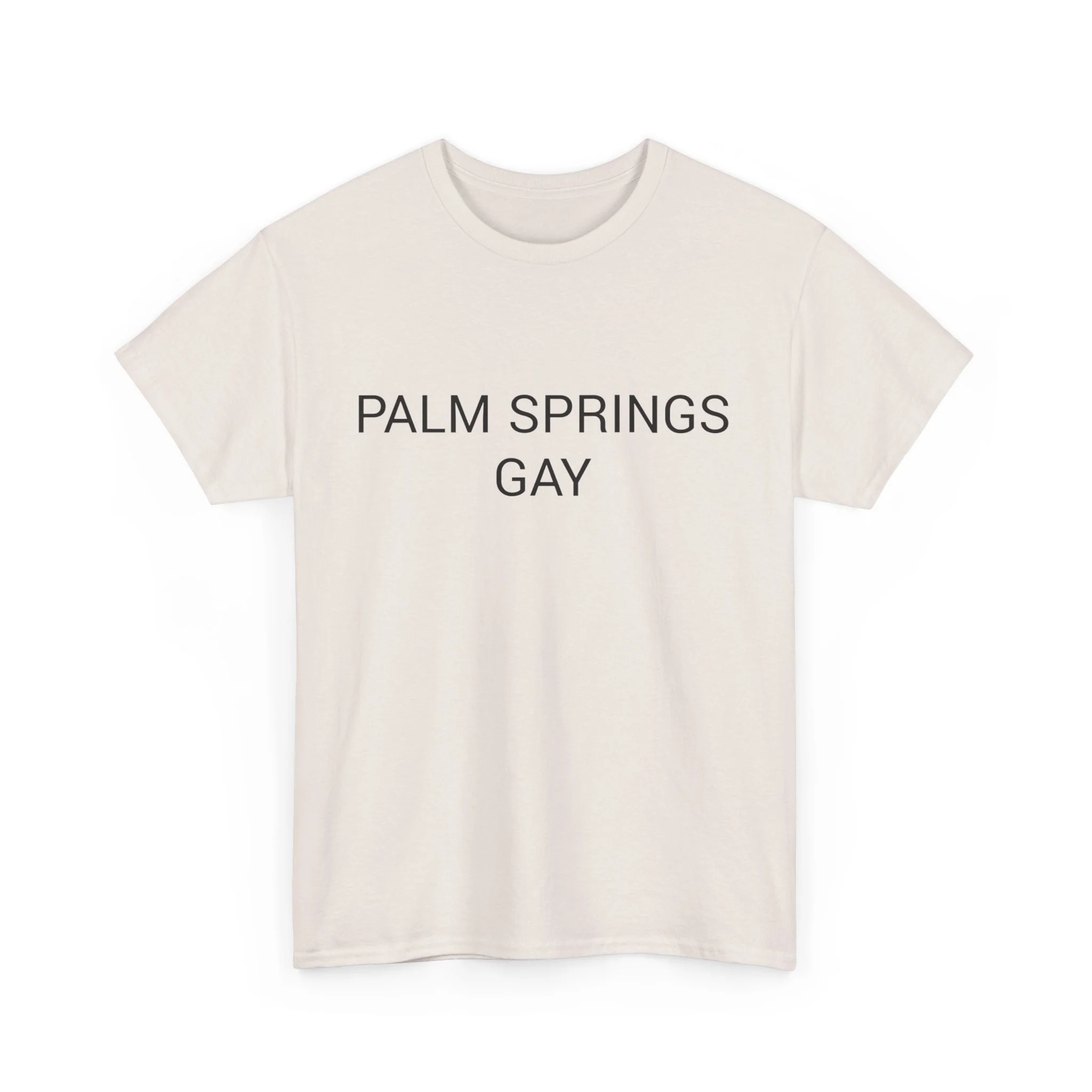 PALM SPRINGS GAY TEE BY CULTUREEDIT AVAILABLE IN 13 COLORS - Image 215