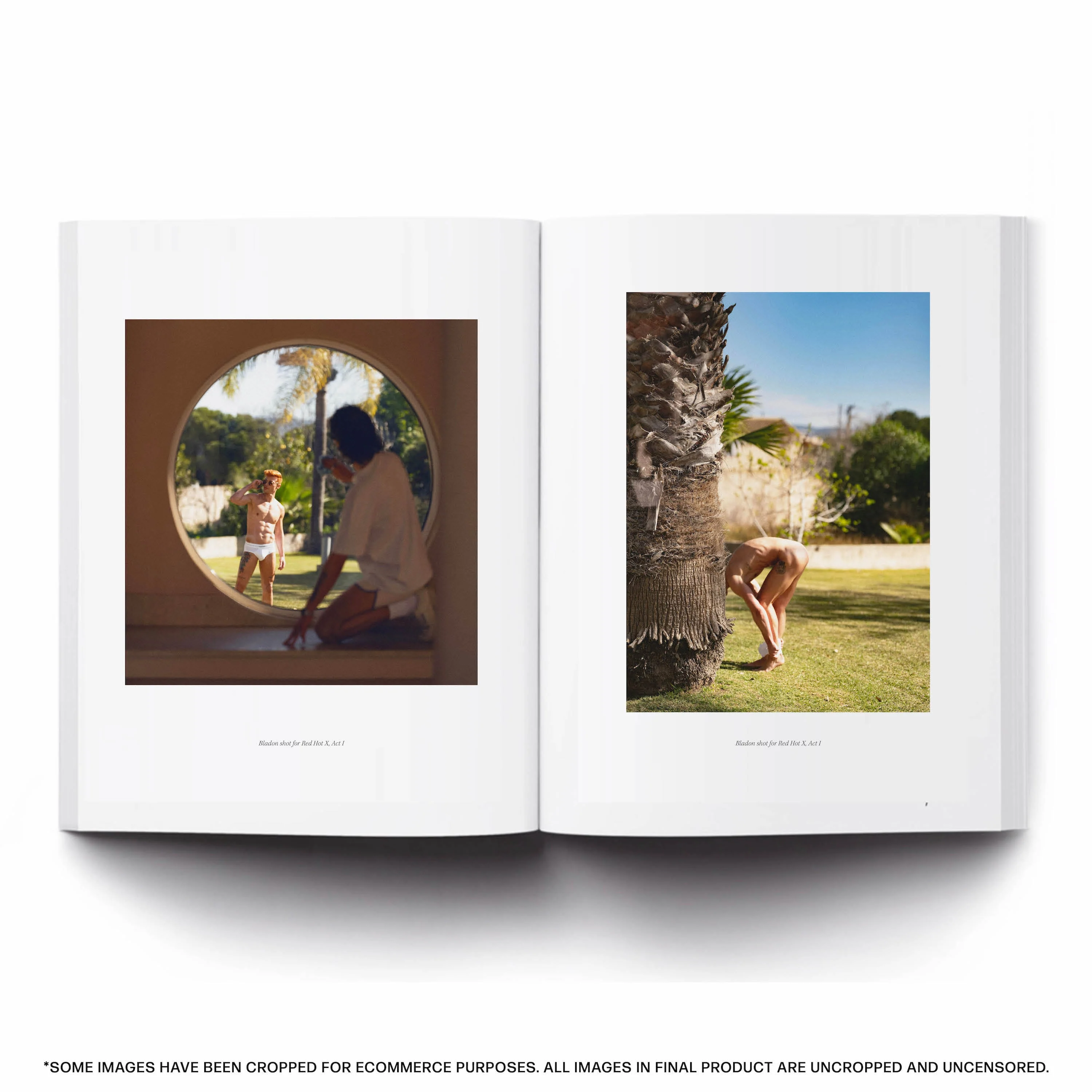 Red Hot X Art Book - Image 15