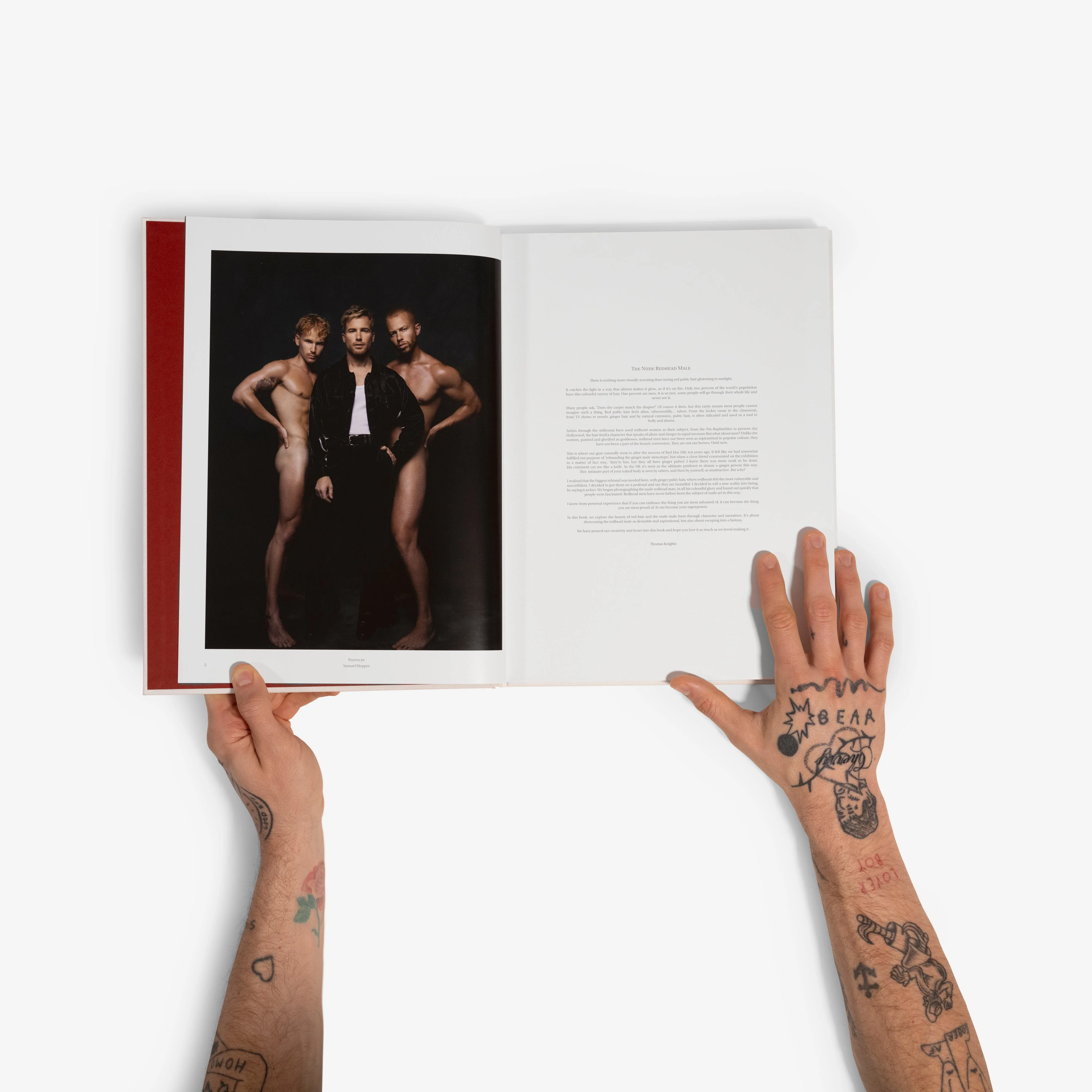 Red Hot X Art Book - Image 6