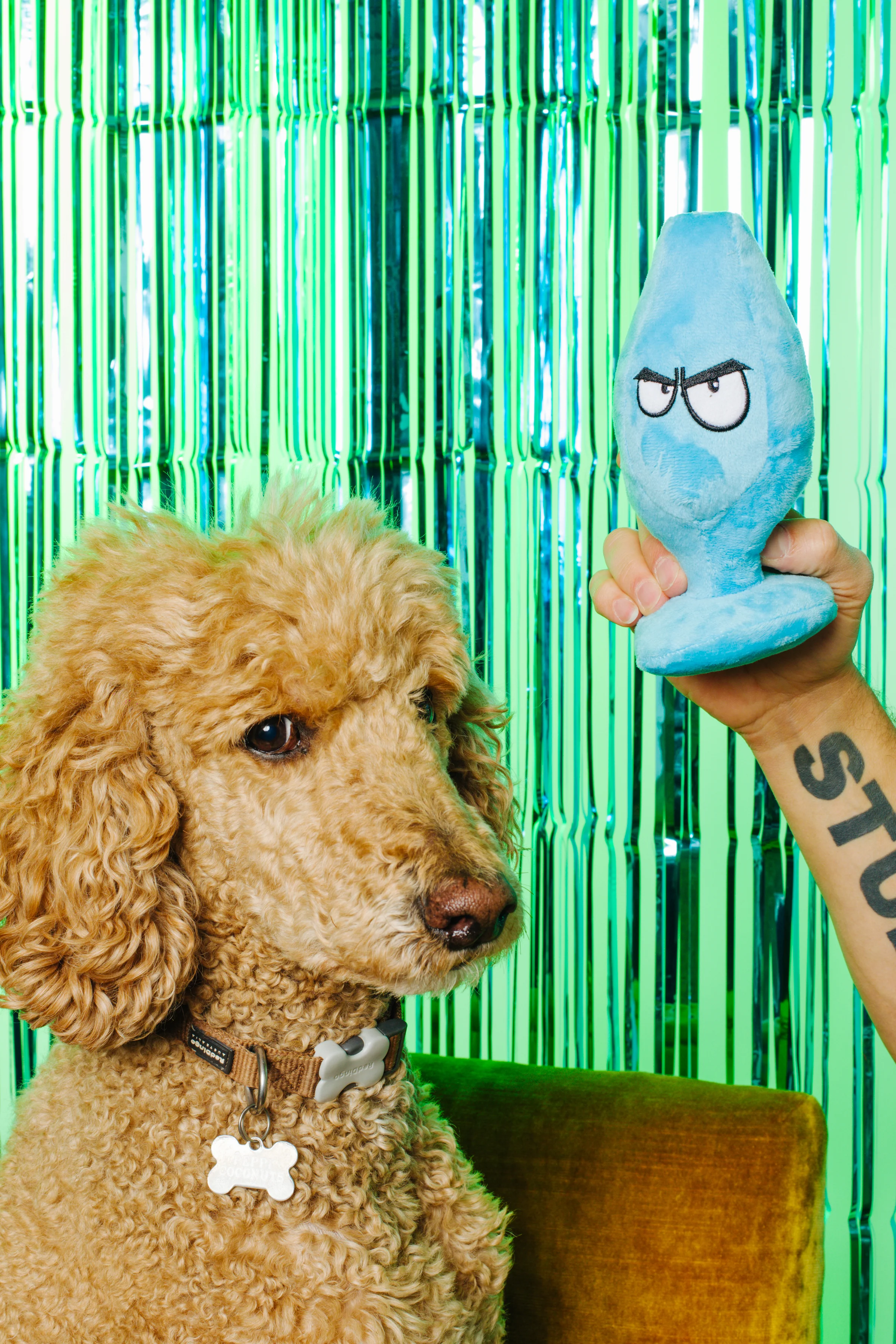 XXX PUPPY TOY: Mutt Plug McRuff (Butt Plug) - Image 5