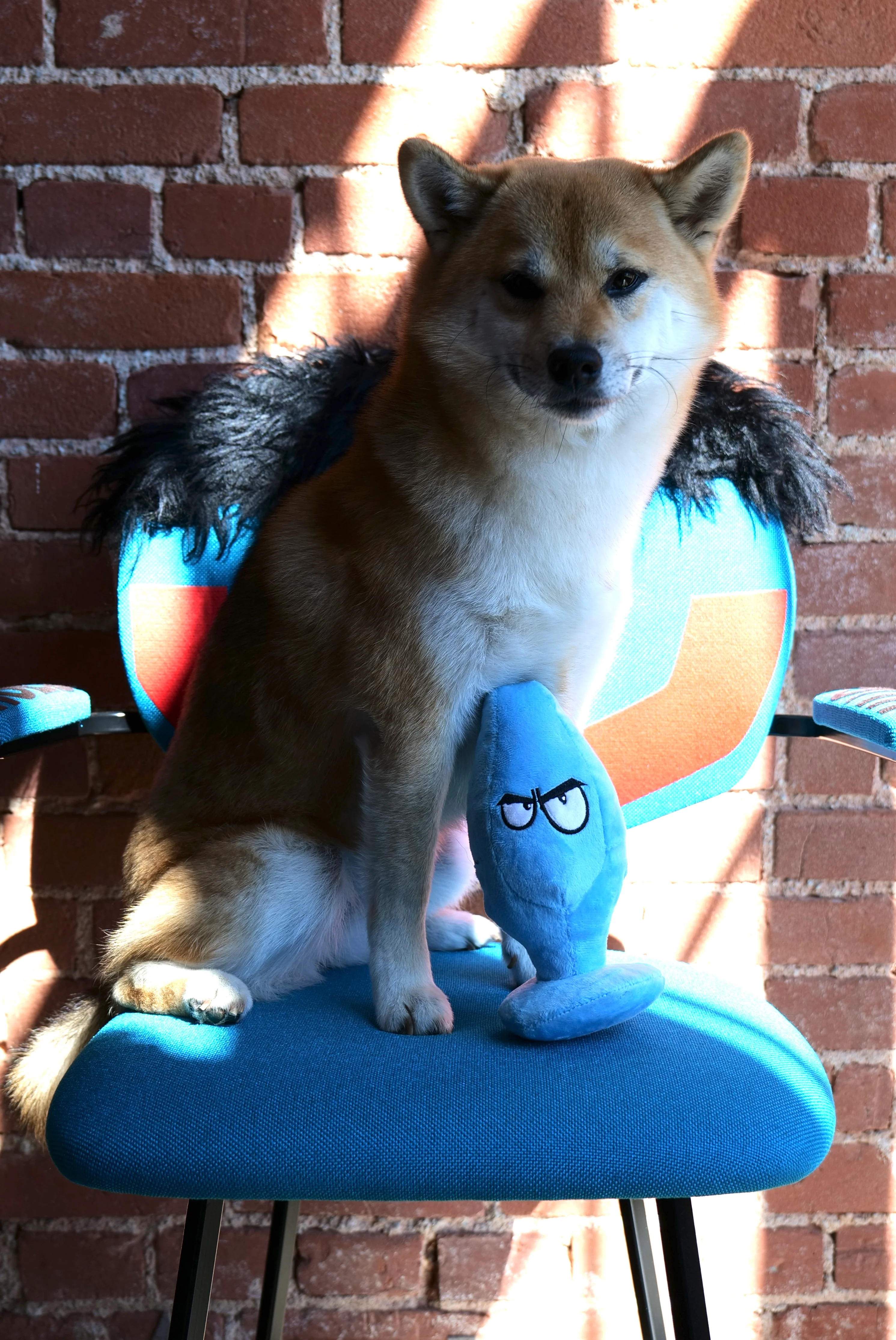 XXX PUPPY TOY: Mutt Plug McRuff (Butt Plug) - Image 8