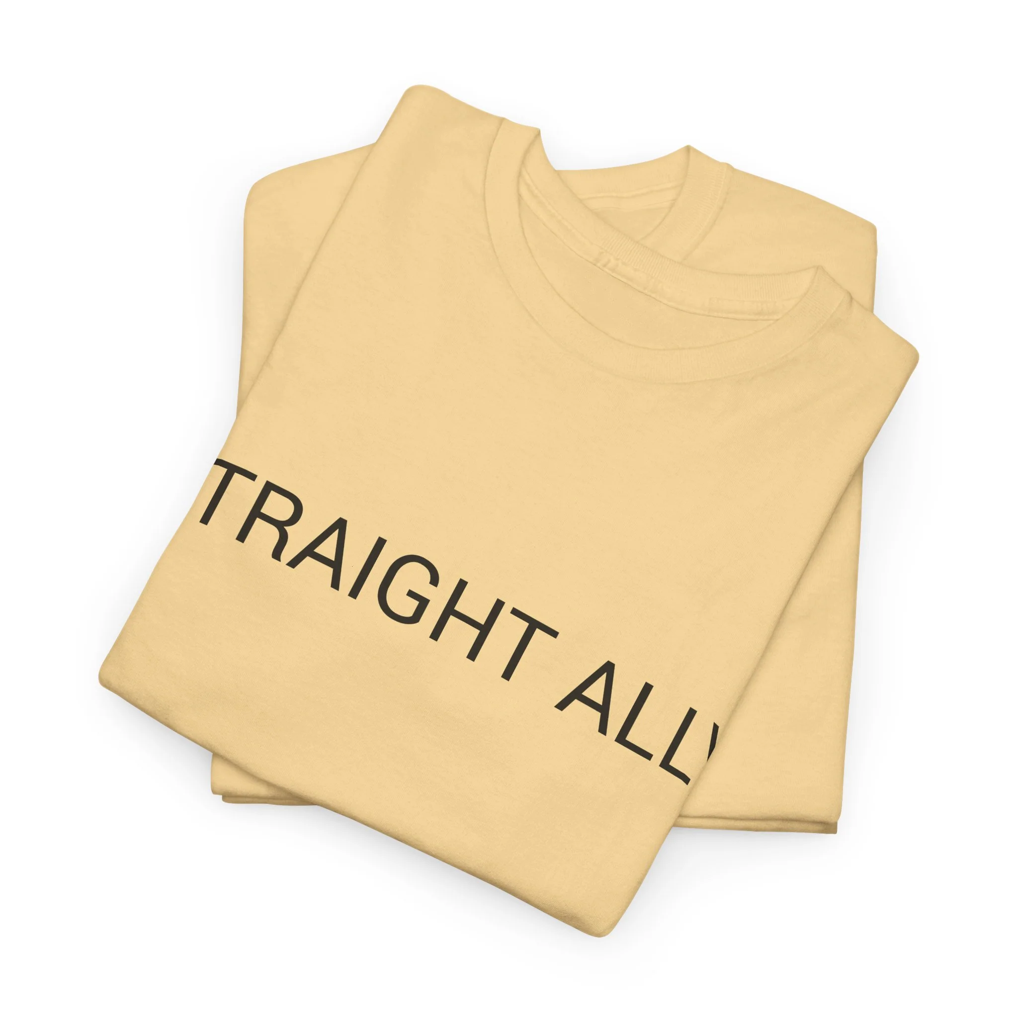 STRAIGHT ALLY TEE BY CULTUREEDIT AVAILABLE IN 13 COLORS - Image 169