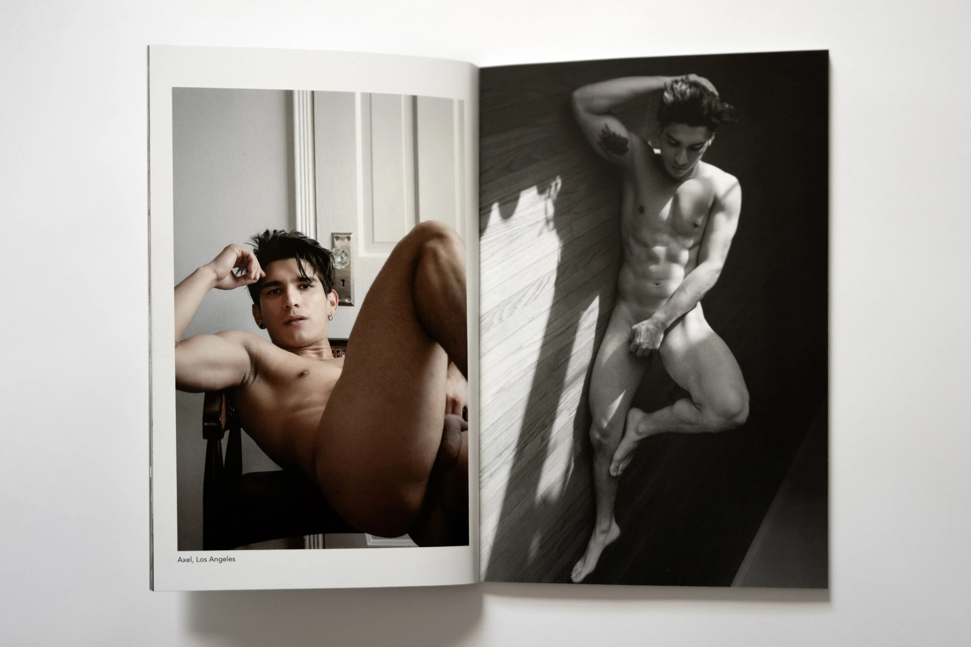 The Pegasus Diaries - Issue 1 - Image 5