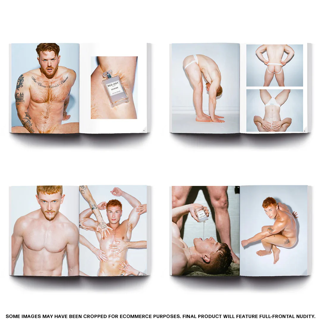The Red Hot Desire Art Book - Image 6