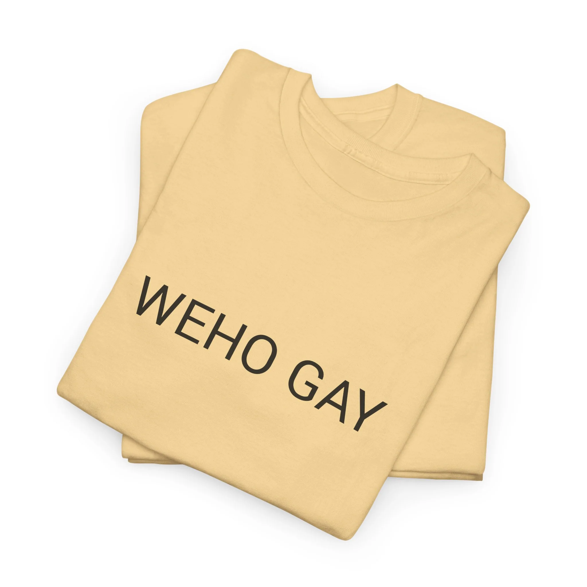 WEHO GAY TEE BY CULTUREEDIT AVAILABLE IN 13 COLORS - Image 169
